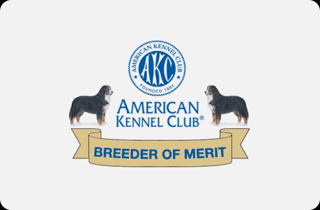 American Kennel Club Breeder of Merit